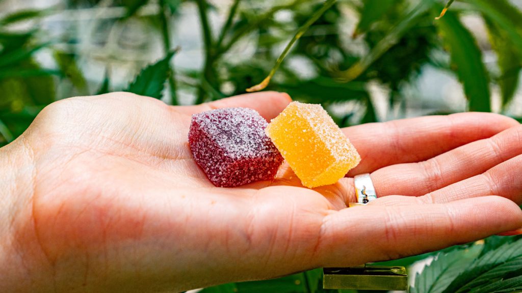 strongest thc gummies 